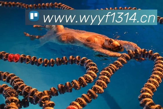 千亿官网注册 - 千亿(中国)服务体系